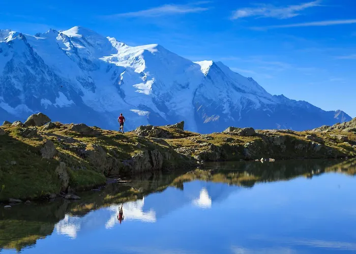Résidence Grand Roc - Campanules 202 - Happy Chamonix
