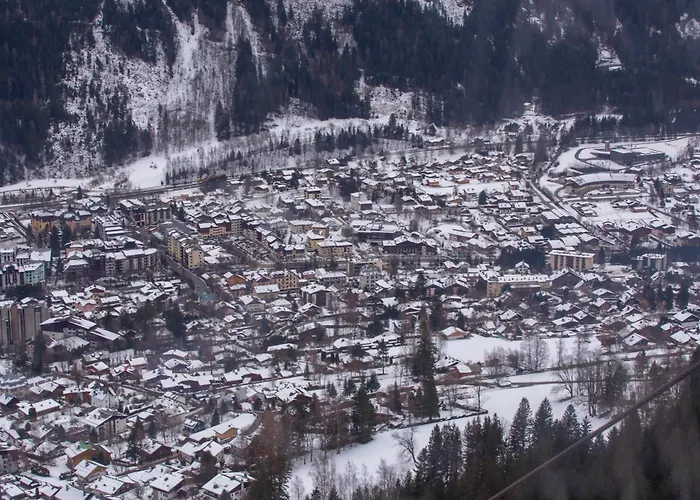 Grand Roc - Campanules 202 - Happy *